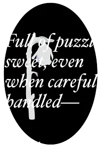 File:Whitepoem.webp