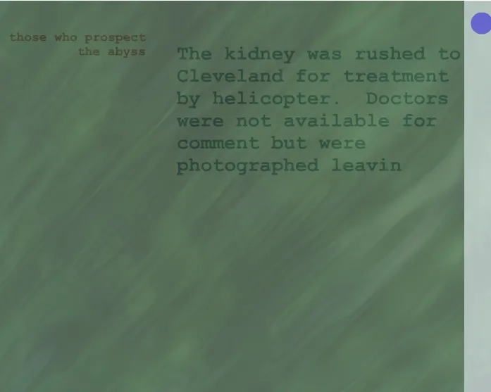 File:Deepsurface screen shot.webp