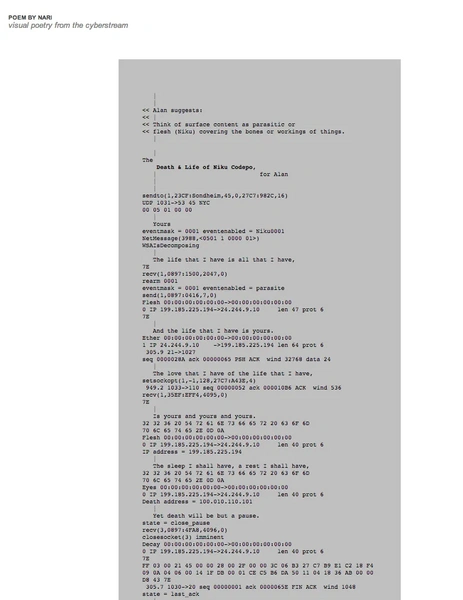 File:Niku codepo.webp