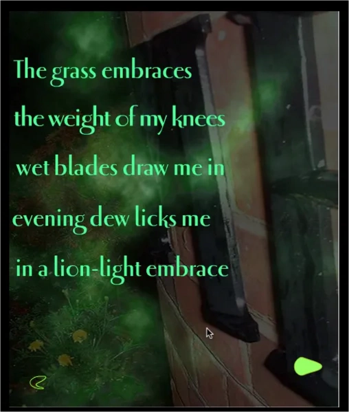File:Firefly.webp