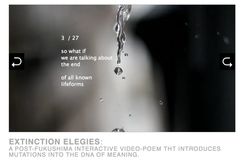 File:Extinction elegies.webp