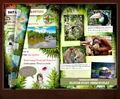 Thumbnail for version as of 15:28, 18 March 2026