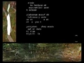 Thumbnail for version as of 13:40, 18 March 2026