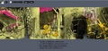 Thumbnail for version as of 14:29, 18 March 2026