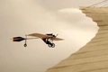 Thumbnail for version as of 16:27, 18 March 2026
