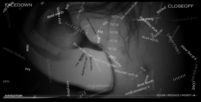 File:Facedown2.webp