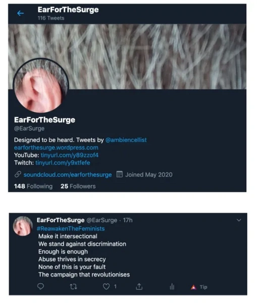 File:Earforthesurge.webp