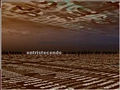Thumbnail for version as of 13:22, 18 March 2026