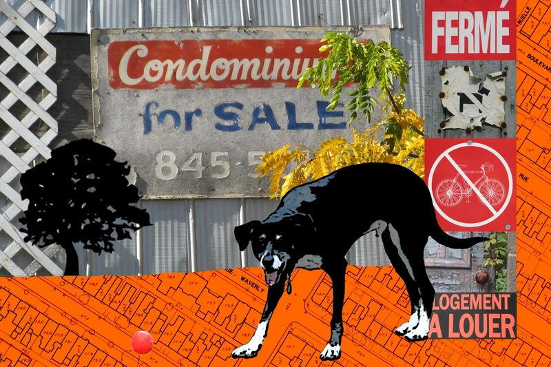 File:Inabsentia postcard4.webp