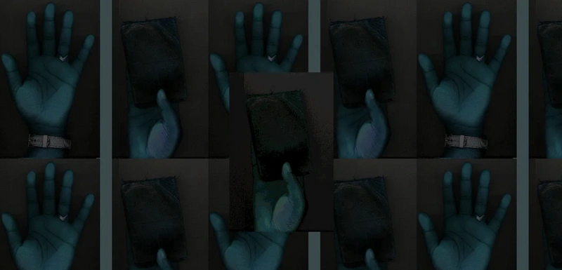 File:My hands wishful thinking.webp