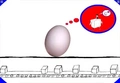 Thumbnail for version as of 14:01, 18 March 2026