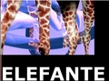 Thumbnail for version as of 13:34, 18 March 2026