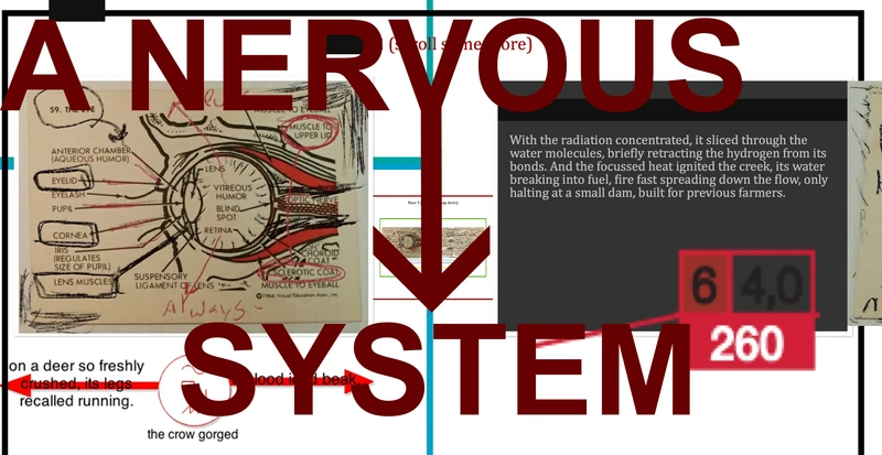 File:Anervoussytem-jn.webp