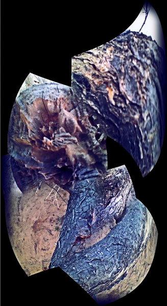 File:Jose1.webp