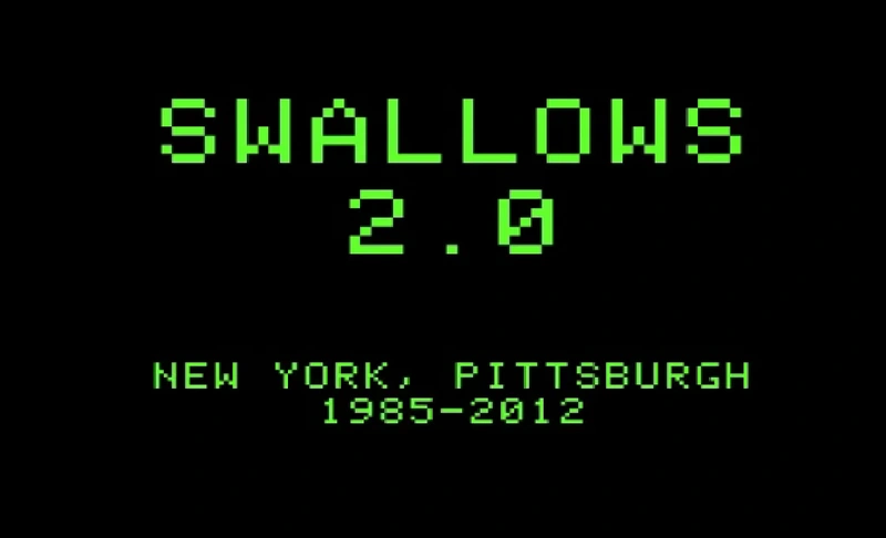 File:Swallows2.0-c.webp