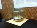 Thumbnail for version as of 15:33, 18 March 2026